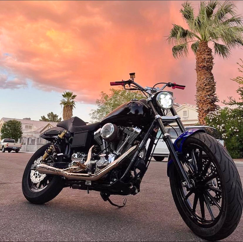 Stealth Pipes exhaust system fitted to Harley Dyna – 1996–2005 stainless headers and muffler, side view, photo 15 of 17